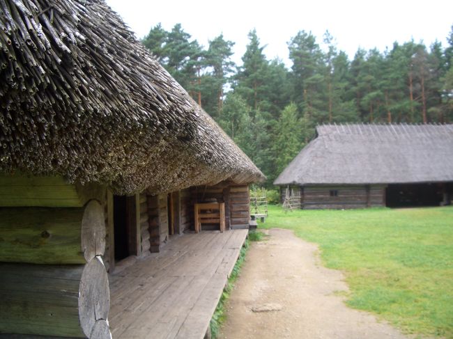 ｵｰﾌﾟﾝｴｱﾐｭｰｼﾞｱﾑ！<br />昔のｴｽﾄﾆｱにも日本の茅葺屋根みたいなのがあったんですね〜。