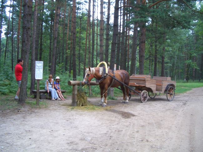 ｵｰﾌﾟﾝｴｱﾐｭｰｼﾞｱﾑ！<br />馬車で移動できたりします。