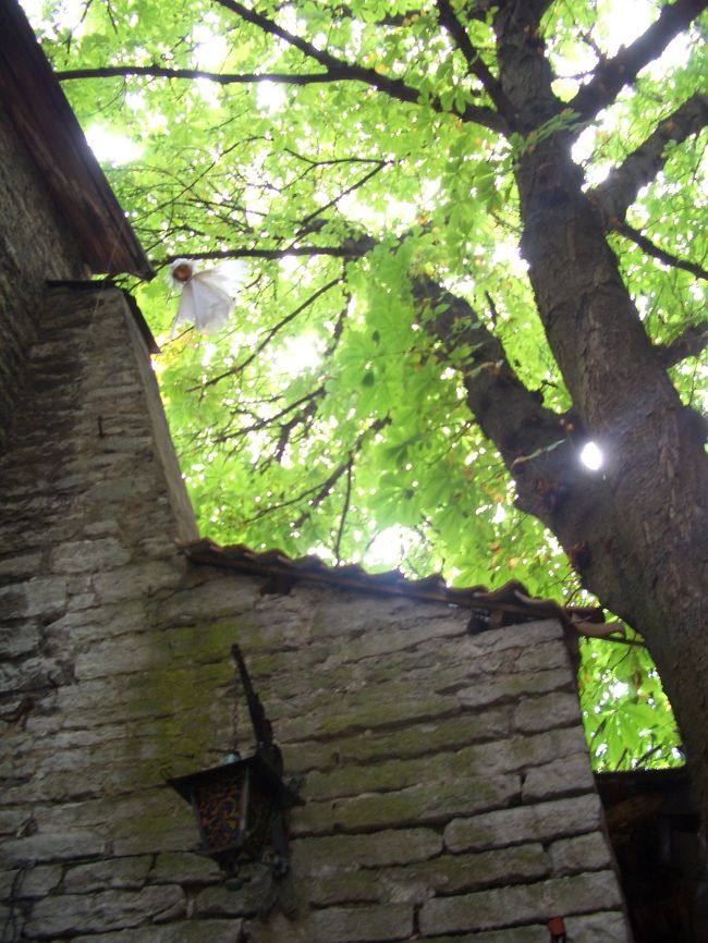 Dominican Monastery Claustrum