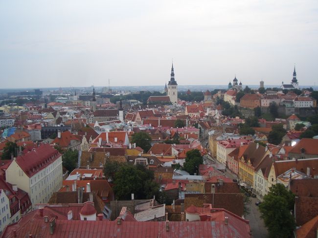 Oleviste Church Towerのてっぺんから。