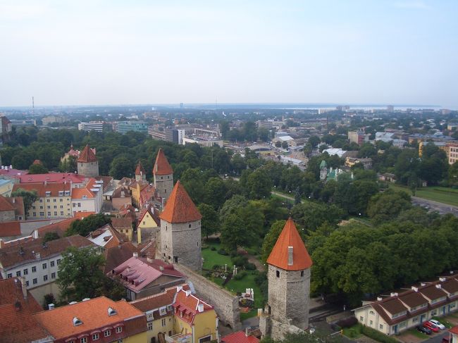 Oleviste Church Towerのてっぺんから。