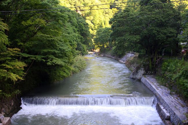 全長70km！京都一周トレイルを歩く(27) 美しき渓谷を行く② 川面