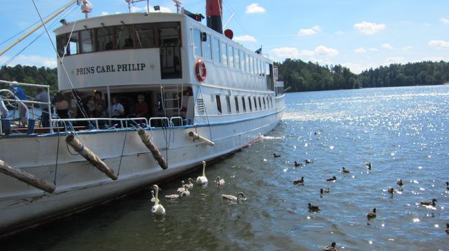 船をおりたら、白鳥さんたちがお出迎え。