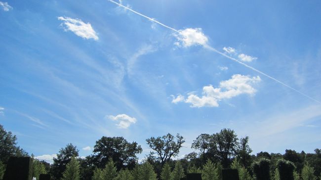 お空もきれい。