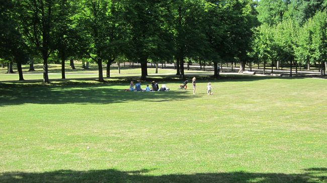 近くにこんな素敵なお庭があったら、いいよなぁ〜。のびのび育ちそうだわ。