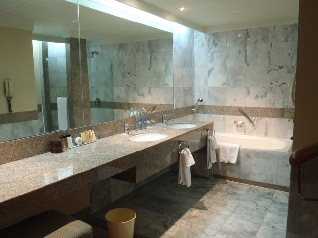 洗面台も何人分？ってくらい。