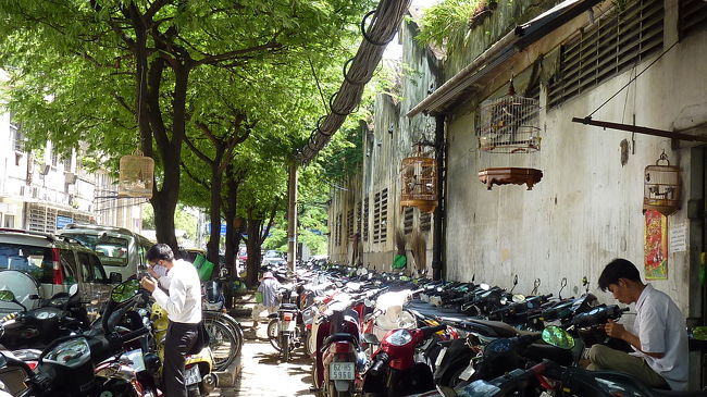 ここでも鳥かごが下がっています。<br />ベトナムの人も小鳥が好きですね。