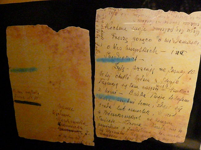 この染みは、血・・・？