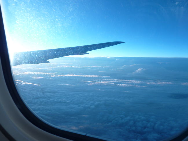 離陸後暫くして、機内が暗くなったのを機に、気を失う様に眠りに落ち、