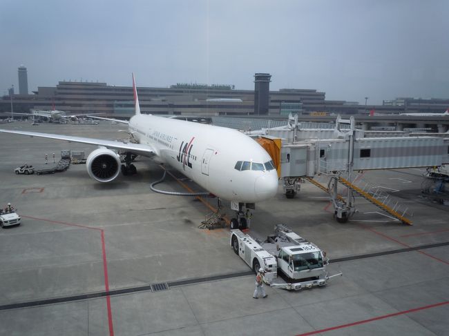 団体カウンターで受付と添乗員さんとの顔合わせが済んだら<br />あとはトランク預けて時間までに各自飛行機に乗ってくださいね〜って。<br /><br />そうなんだ！<br /><br />旗持った添乗員さんのあとついてみんなで一緒に行かないんだ！<br /><br />（目から鱗）<br /><br />時間があったのとおなかがすいたのとで中でサンドウィッチつまんだり<br />免税店みたり悪足掻きでフランス語の本買ったりしてうろうろ。<br /><br />心配性なので搭乗手続き開始と共に搭乗。<br /><br />ホームアローンみたいにちがう国に着いちゃったらどうしよう・・・<br />って思ってたら機内でちゃんと添乗員さんが確認に来てくれました。<br /><br />JAL直行便です。