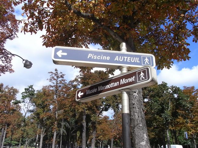 看板がありました。<br />目的地はあっちです。<br /><br />樹々が紅葉し始めた<br />気持ちの良い公園の中を進みます。