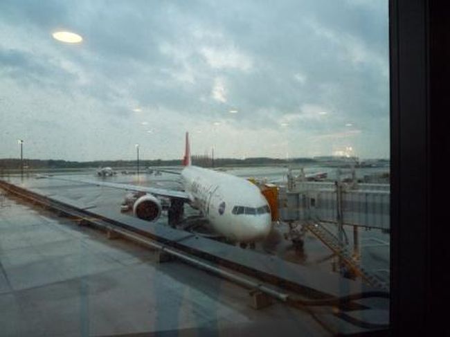 ☆☆　１日目　☆☆<br /><br />今回はＪＬマイレージカード会員限定ＪＭＢツアーで申込。<br />希望してたＡＭ便は取れず、仕方なくＰＭ便で出発。<br />かなり時間がロスだけど、出発日間際の申込だしピーク時だから仕方ない。。