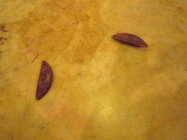 占いみたいなもの。<br />平べったい方と丸い方が１つずつ出るとイイ事あるみたい〜！？