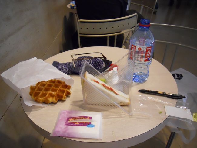 もうお昼過ぎ、一度ピラミッド下に戻って昼食です。レストランありますが混雑してそうなんで、テイクアウトで軽くこんなものを。<br />テーブルもなかなか空きがないけど、親切なフランス人がここ、もうすぐ空くからおいで！って呼んでくれる。<br />フランス人に悪い人いません。<br /><br />ワッフルは美味しかった。<br /><br />