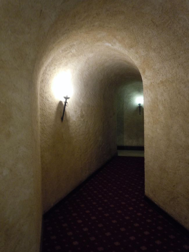 フロント前から部屋へ行く廊下。<br /><br />ちょっとこわい。<br /><br />あとで知ったんだけど、地下にワインセラーがあるらしく<br />お願いすれば見学出来たみたい。<br /><br />見たかった〜　ワイン興味ないけど見たかった〜