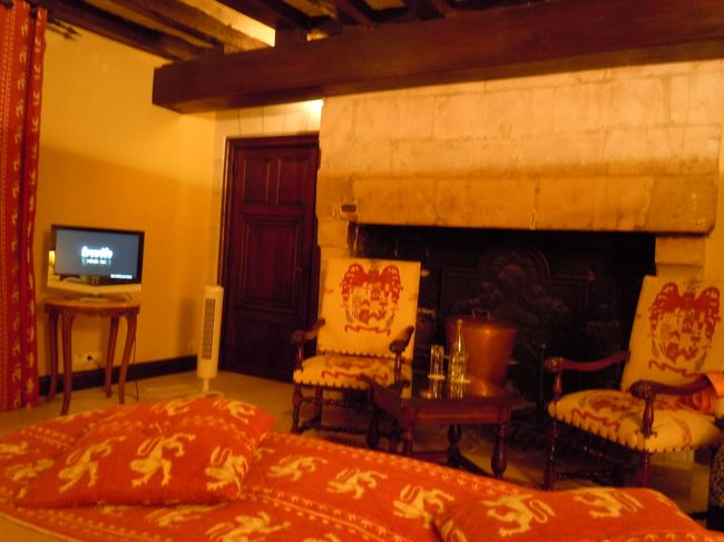 明日は古城巡りです。<br />いちばんたのしみにしていたシャンボール城に行くぞ！<br /><br />そしてまだ冷蔵庫事件は終わったわけではないのであった・・・