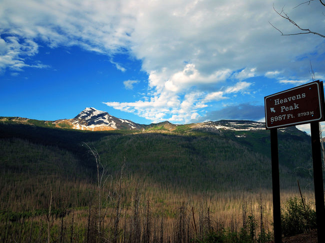 08:10 今回のトレールは２０Kmの片道ルートで峠を出発して、一路下ることになります。<br />どうやって元に戻ろうかと考えていたら、フォートラベルの皆さんからアドバイス頂いて解決。<br />下山するところ（Loop)に車止めて無料シャトルで峠に行けば良いとの事。これならノロノロ歩きの私でも帰りのシャトルの時間気にせずあるけます。<br /><br />Loopの駐車場からみたHevens Peak 2793Km