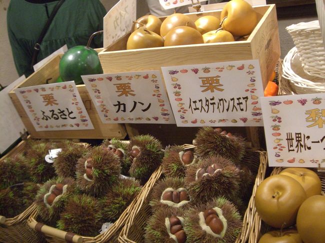 -河口湖オルゴールの森-<br /><br />あれ...<br />なんだ〜。