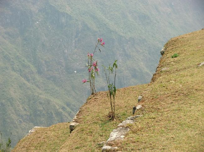 インカの暦は太陽暦で5月に収穫、6月が太陽の祭り、8月が種まきということであった。