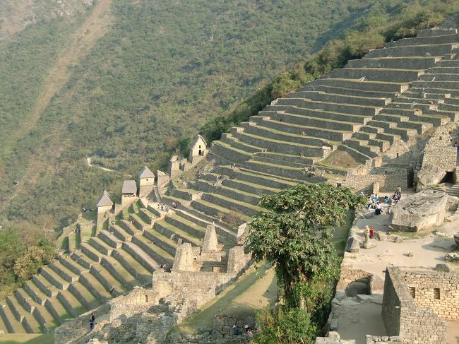 段々畑は急な斜面を下方まで続いている。太陽がよく当たる東側（写真）では作物の生産が行われた。