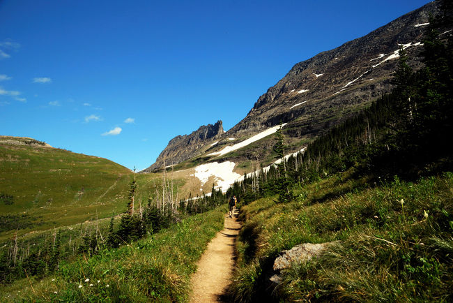 草原の中を歩きます。
