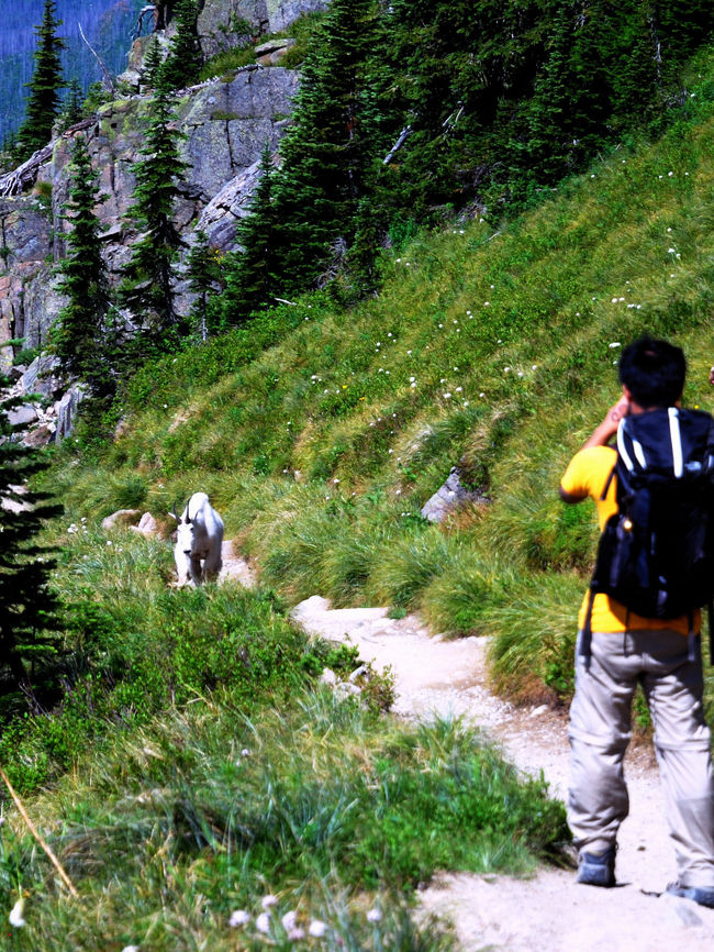 12:09 いきなり現れました