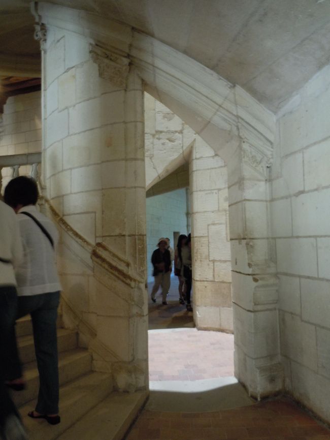 早速のぼってみます。