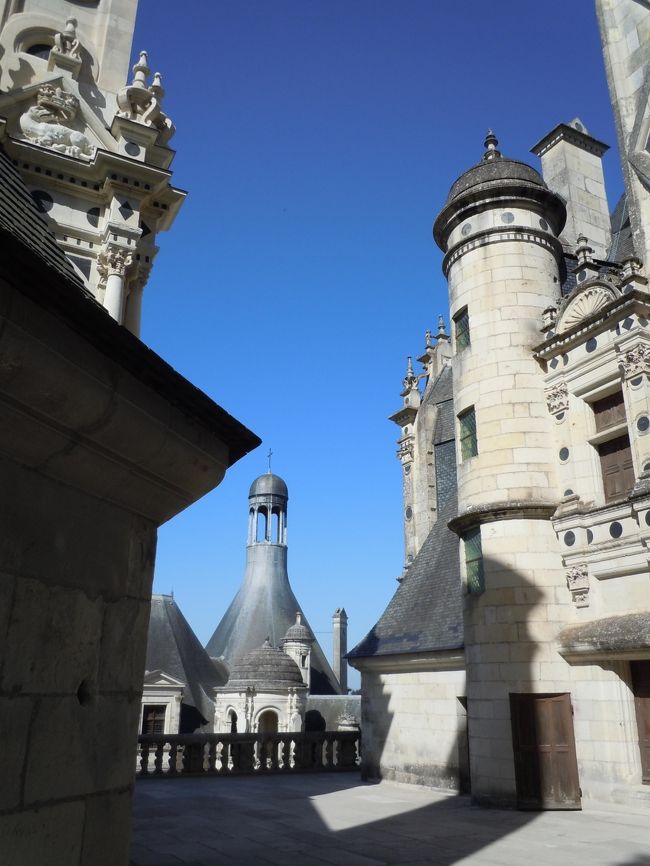 屋根（屋上？）出ました！