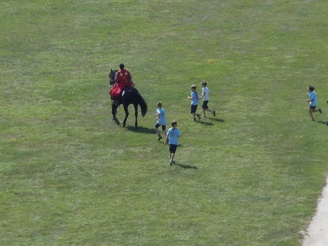 見下ろしたら乗馬していた。