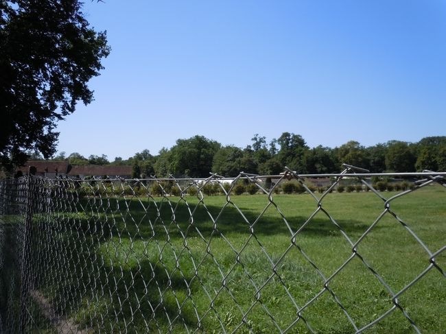 みどりが多くなったってことはもうシュノンソー城？