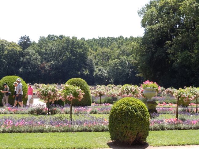 かわいい庭園！<br /><br />