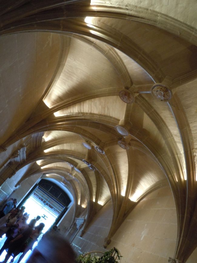 はい、天井〜<br /><br />この光の感じいいねぇ