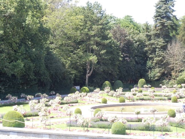 庭園。<br /><br />お花がいっぱい。