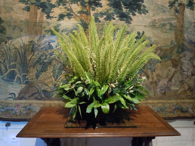 庭園で咲くお花を飾っているらしい。<br />