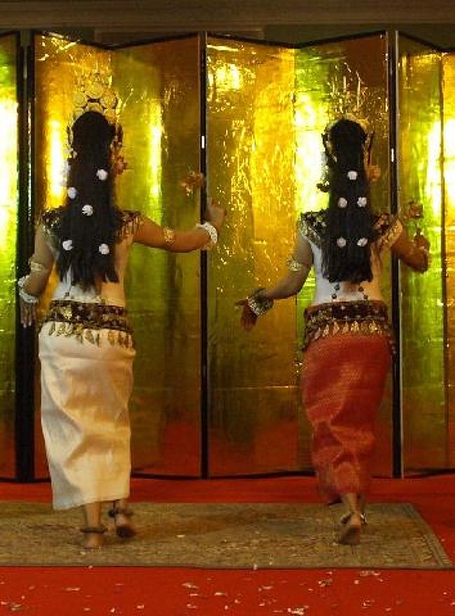 とうとう途中で音をブチっと切って踊り子たちが引き揚げていきました…小猿たちのつまらなそうな顔が忘れられない…。手に日本の旗を持たされて、無理やり踊らされて（いるかどうかは、分からないけれど）小猿…。<br /><br />