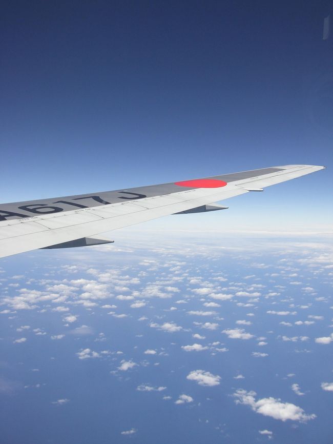 食事も終わりぼーっと外を眺めていたらあっという間に台湾です。<br />暑い。