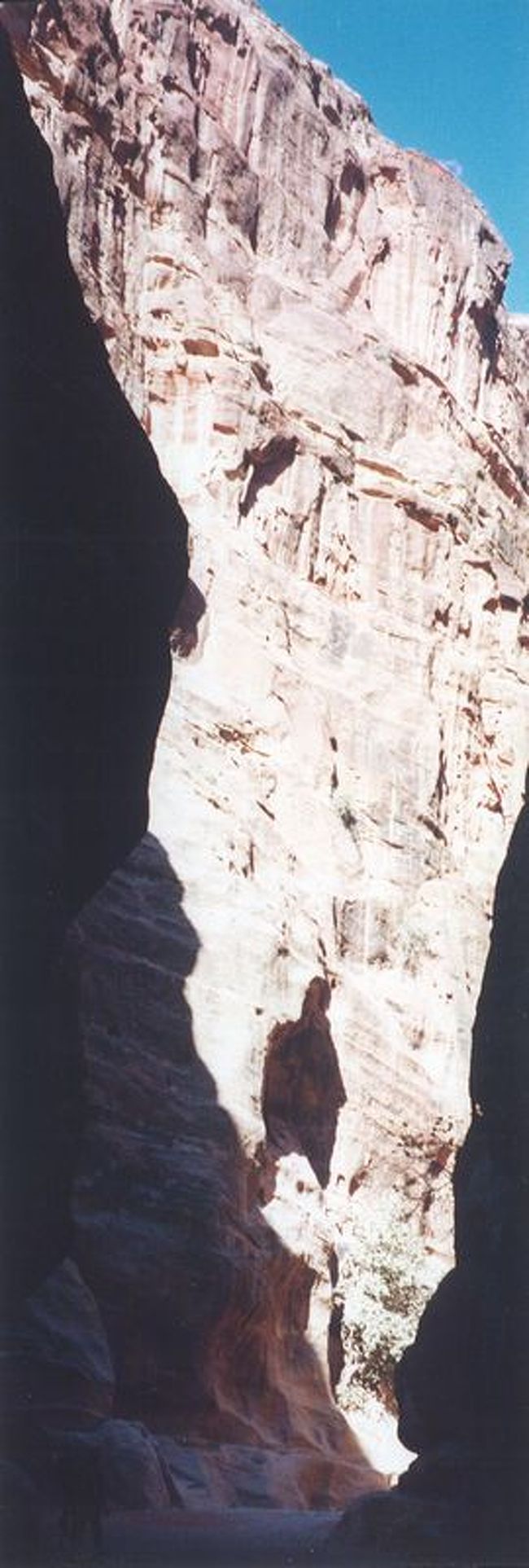 シークと呼ばれる岩の割れ目をしばらく歩きます。