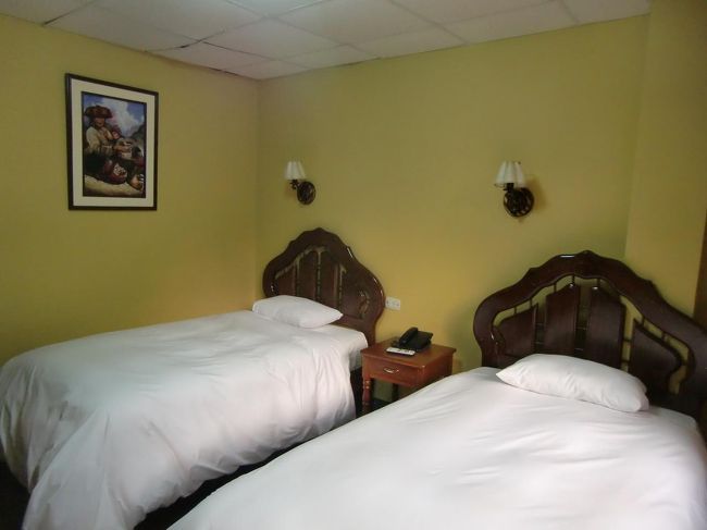 ごく普通のホテルで客室（写真）は狭い。バスルームのシャワーのお湯の出が悪く、バスタブはない。