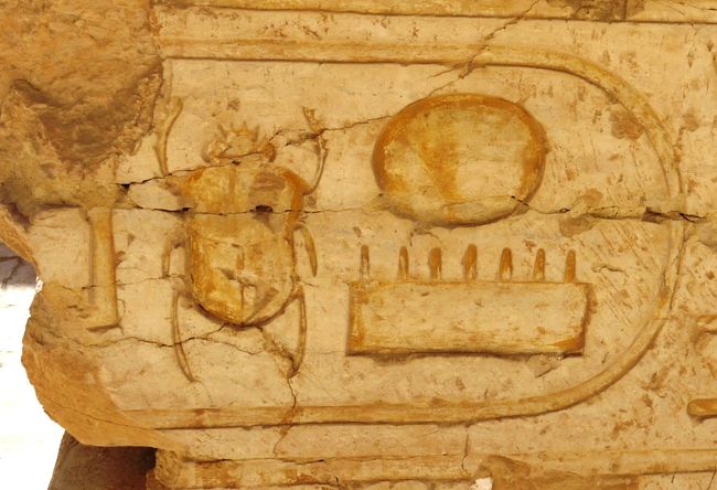 ふんころがし。