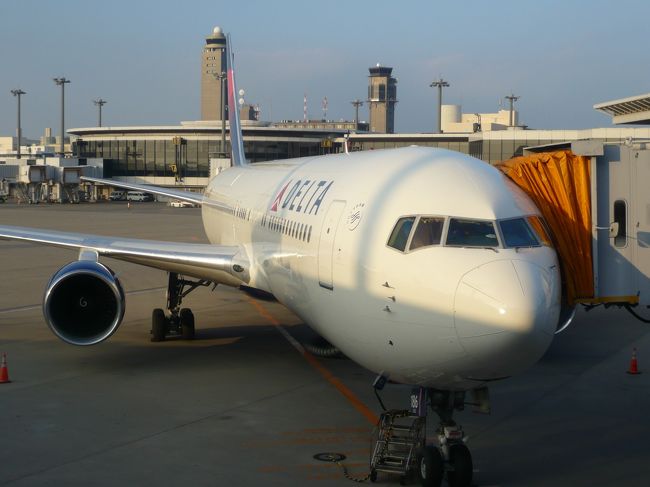 成田国際空港<br /><br />夕方になるとデルタ軍団によって占拠されます。