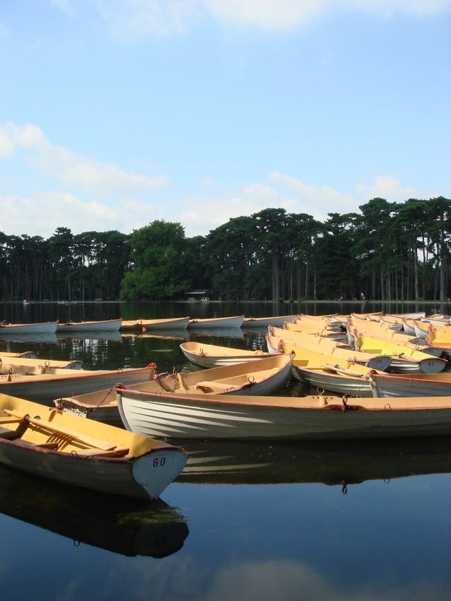 8月初めのある晴れた日曜日、<br />パリで一緒に働いているお友達たちとブローニュの森に行きました。