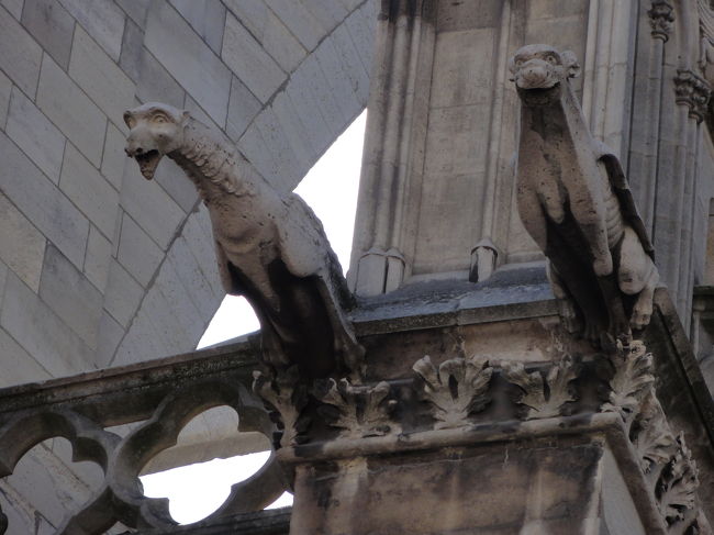 ノートルダムのガーゴイル、屋上のが見たかったな〜。