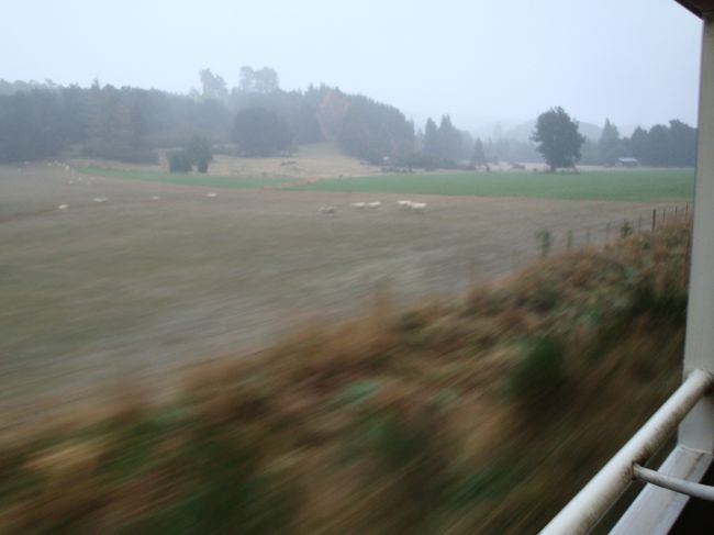 出発！<br /><br />旦那様を席に残して、私は、展望デッキの車両へGO−−−<br /><br />デッキ車両には、一眼レフを抱えた他国の方が。。。<br /><br />左側に陣取り、写真を撮る事に！<br /><br /><br />のどかに、牧羊地が広がっています<br /><br />