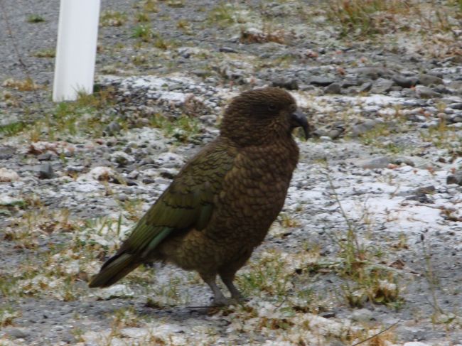 だんだん、向こうから近寄ってきてくれて！