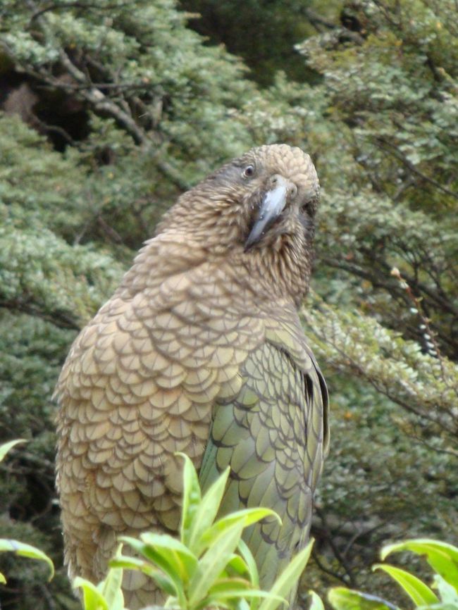 車から降り、近くでパシャリ
