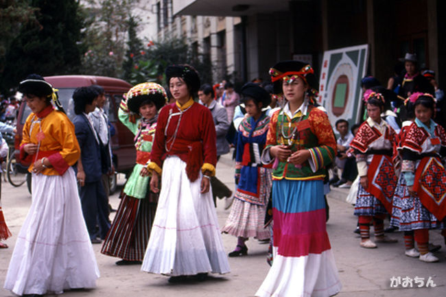 ニンランから来た人達。<br /><br />さすが六詔の末裔は大柄だ。<br /><br />後ろの苗族と比較するとよくわかる。<br />