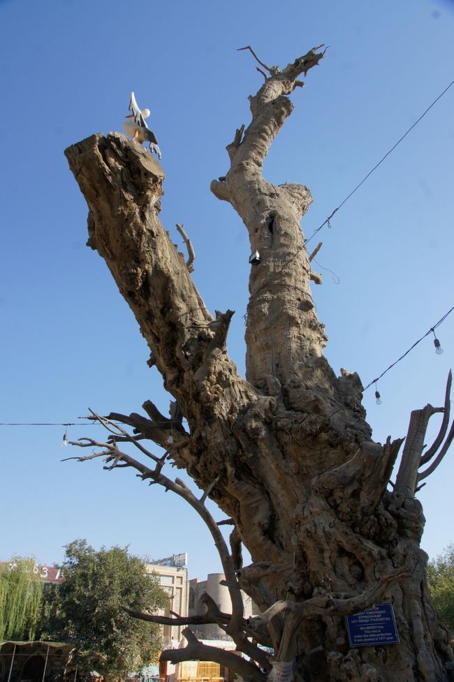 池のほとりに有るのは、なんか保護樹木みたいですが…作り物のコウノトリはいかがなものかと…