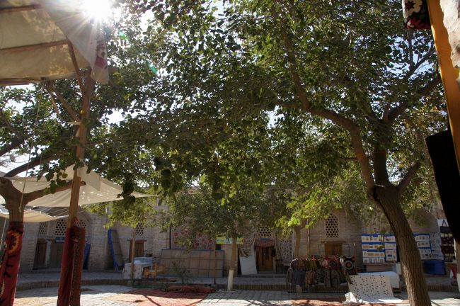 中は気持ち良さそうな中庭…って、土産物屋か。<br /><br />奥の方に、”WINE TASTING”の文字が、滞在中に寄ってみたいなぁ。