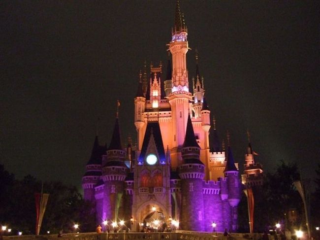 シンデレラ城<br /><br />夜の顔