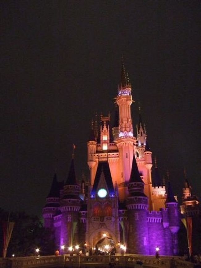 シンデレラ城<br /><br />夜の顔